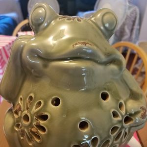 Pink Zebra Ceramic Freddy the Frog Shade